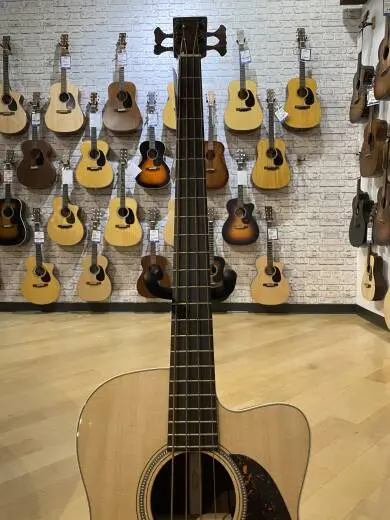 BC-16E Acoustic/Electric Bass with Case 2